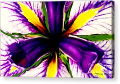 Patricia Bunk Iris Acrylic Prints