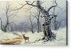 Deer In Snow Acrylic Prints