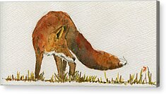 Designs Similar to Watching red fox by Juan  Bosco