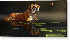 Tiger Cat Acrylic Prints