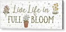 In Bloom Acrylic Prints