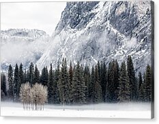 Cross-country Skiing Acrylic Prints