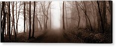 Woodlands Scene Acrylic Prints