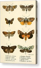 Back to School For Guys Butterfly Acrylic Prints