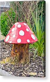 Designs Similar to Toadstool by Tom Gowanlock