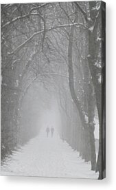 Love In The Mist Acrylic Prints