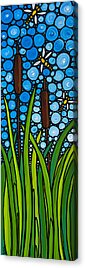 Lilly Pad Acrylic Prints