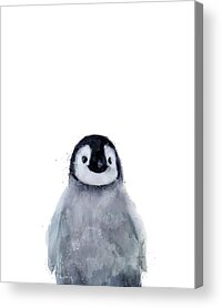 Penguin Acrylic Prints