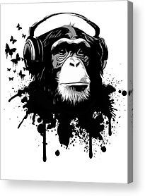 Chimpanzee Acrylic Prints