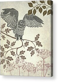 Falconiformes Acrylic Prints