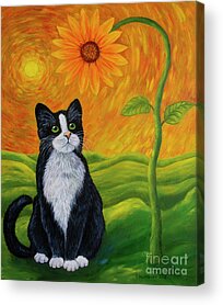 Designs Similar to Cat and sunflower