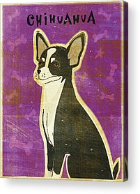 Chihuahuas Digital Art Acrylic Prints