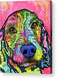 Setter Dog Acrylic Prints