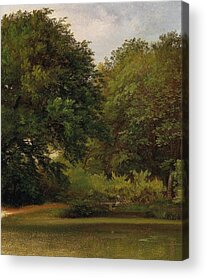 Reflections Of Trees In River Drawings Acrylic Prints