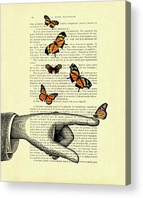Monarch Butterflies Digital Art Acrylic Prints
