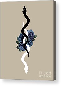 Yin And Yang Digital Art Acrylic Prints