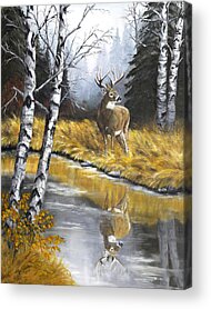 Deer Creek Acrylic Prints