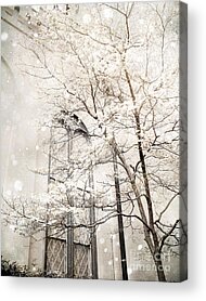 Winter White Fine Snow And Trees Acrylic Prints