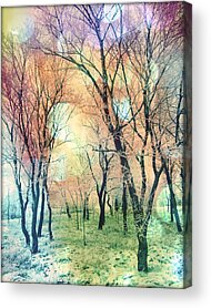 Pink Black Tree Rainbow Photos Acrylic Prints