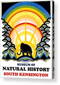 Natural History Paintings Acrylic Prints