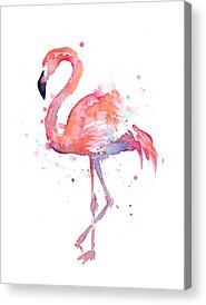 Flamingo Acrylic Prints