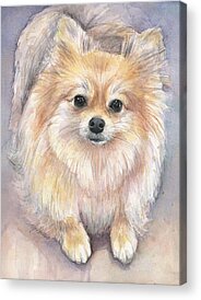 Puppy Paintings Acrylic Prints