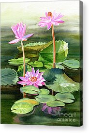 Tropical Water Lily Acrylic Prints