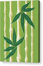 Bamboo Stalk Acrylic Prints