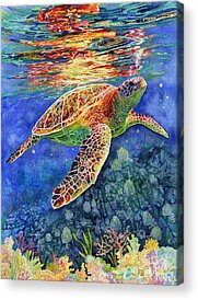 Tortoise Shell Acrylic Prints