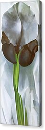 Iris Mixed Media Acrylic Prints