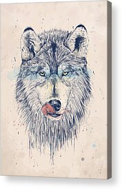 Wolf Acrylic Prints