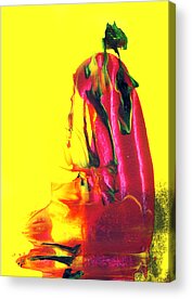 Design Acrylic Prints