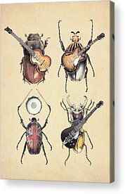 Beetle Acrylic Prints