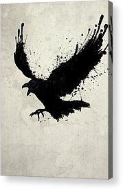 Bird Acrylic Prints