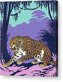 Cheetah Drawings Acrylic Prints