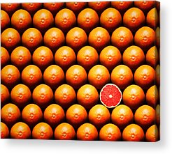 Orange Fruit Pattern Acrylic Prints