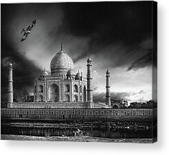 Birds Of India Acrylic Prints