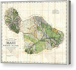 Maui Drawings Acrylic Prints