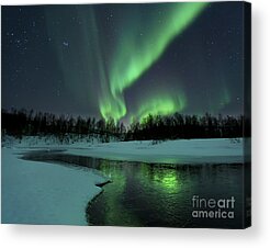 Ice Acrylic Prints