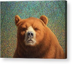 Bear Acrylic Prints