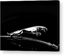 Jaguar Xk120 Acrylic Prints