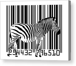 Designs Similar to Zebra Barcode