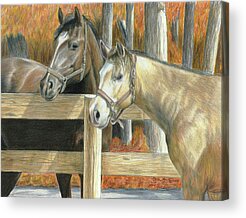 Pals Paintings Acrylic Prints