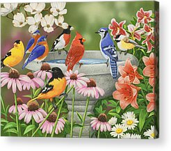 Birdbath Acrylic Prints