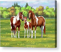 Paint Mare In Field Acrylic Prints