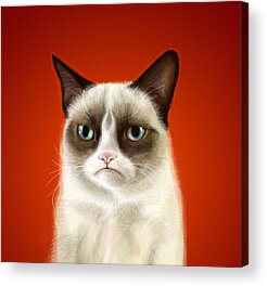 Grumpy Cat Acrylic Prints