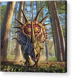 Styracosaurus Acrylic Prints
