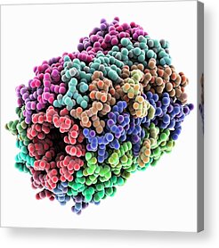 Atp Synthase Acrylic Prints