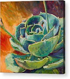 Blooming Cactus Acrylic Prints