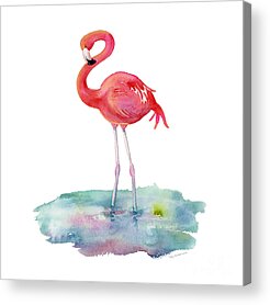 Wading Birds Acrylic Prints